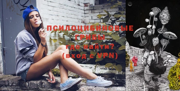 экстази Каменногорск