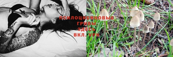 кокс Каменка