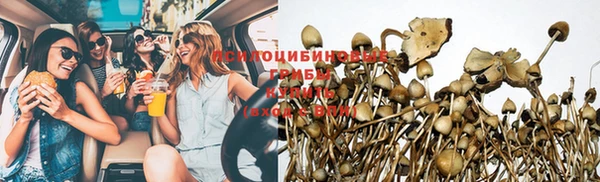 прущий лед Рославль